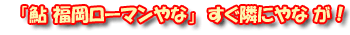 鮎 ローマン やな